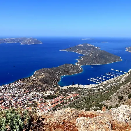 カヤハン カシュ